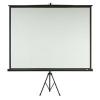 DMT - 100 inch Tripod Screen.jpg